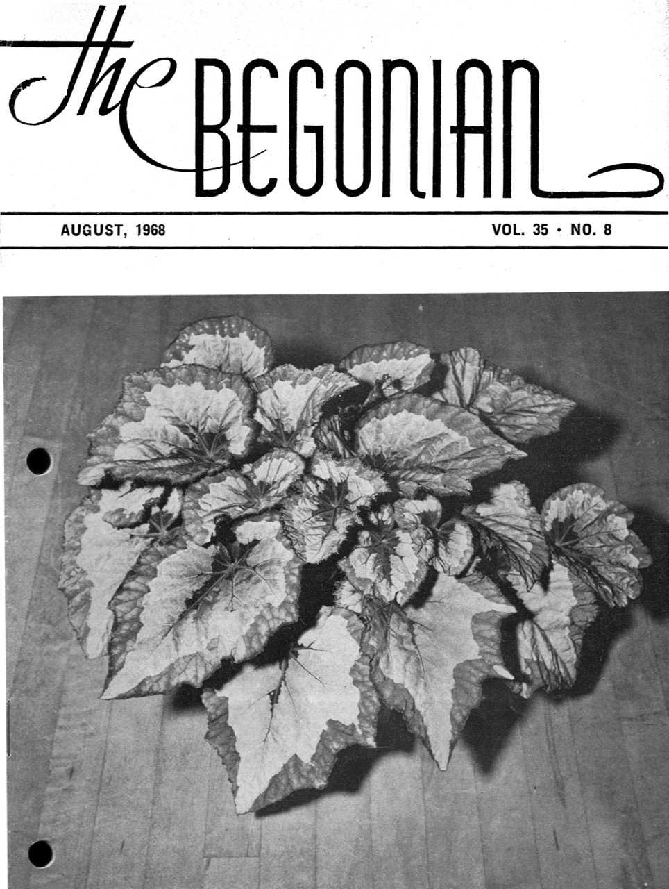 B. ‘Ruhrtal’
